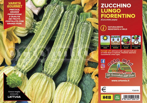 Zucchino lungo fiorentino Tirreno F1 - 1 pianta v.10 cm - Orto Mio Orto Mio (2500119)