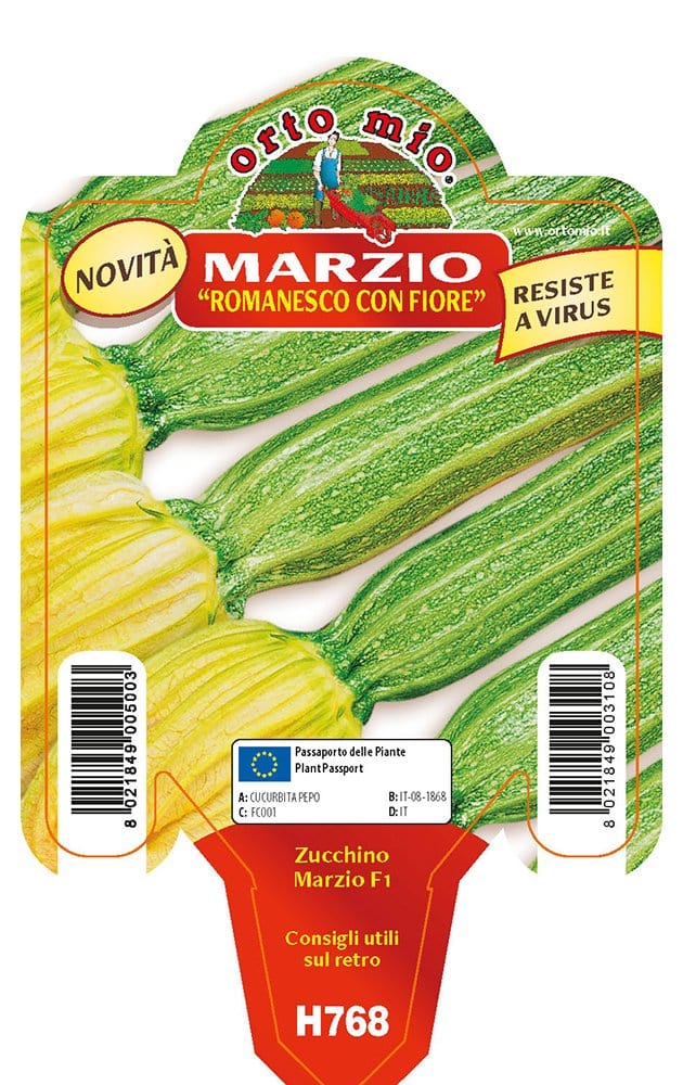 Zucchino romanesco con Fiore Marzio F1 - Vaso 10 cm - Orto Mio Orto Mio