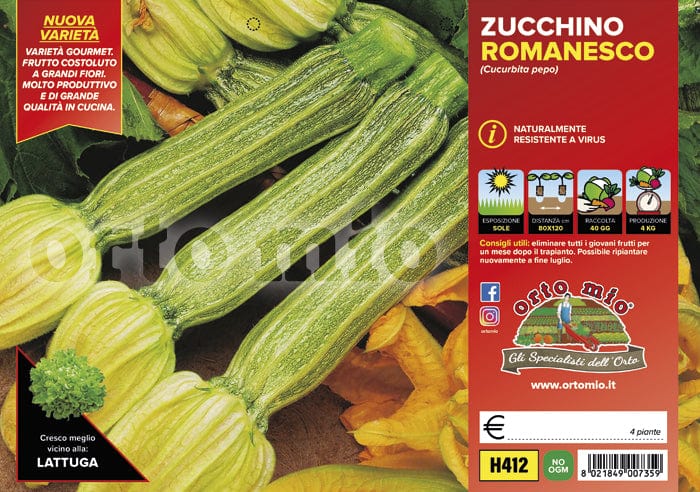 Zucchino romanesco Floridus F1 - 4 piante - Orto Mio Orto Mio (2500124)