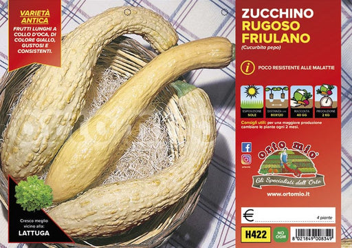 Zucchino Rugoso Friulano - 4 piante - Orto Mio Orto Mio (2500125)