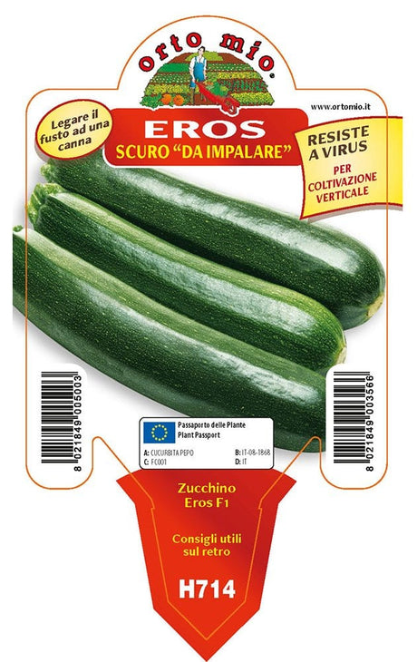 Zucchino scuro da palo Eros F1 - 1 pianta v.10 - Orto Mio Orto Mio (2500127)