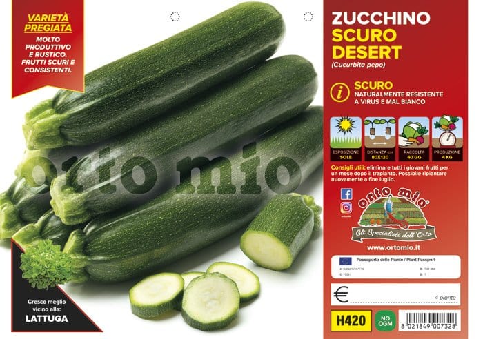 Zucchino scuro Desert F1 - 1 pianta v.10 cm - Orto Mio Orto Mio (2500128)