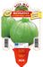 Zucchino tondo chiaro Boldenice F1-Rondo F1 - 1 pianta V.10 cm - Orto Mio Orto Mio (2500131)