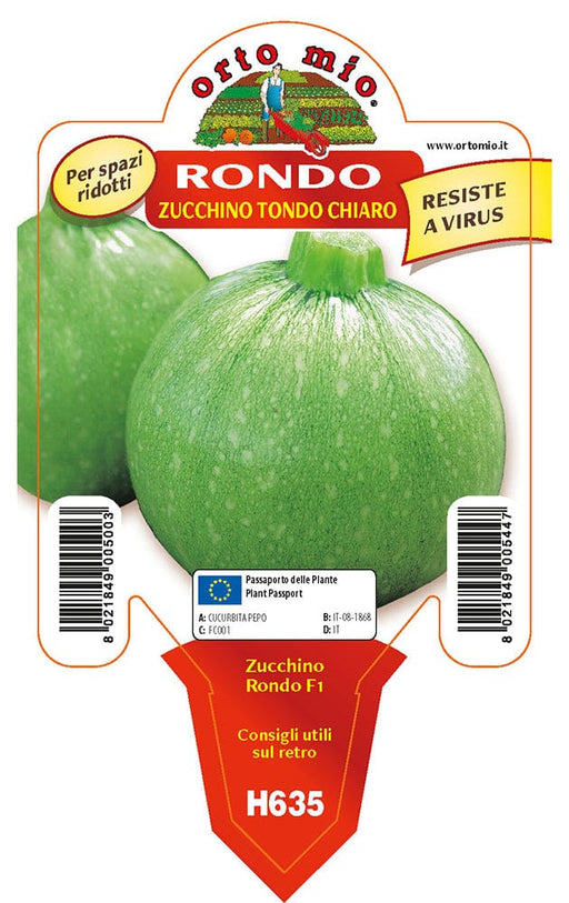 Zucchino tondo chiaro Boldenice F1-Rondo F1 - 1 pianta V.10 cm - Orto Mio Orto Mio (2500131)