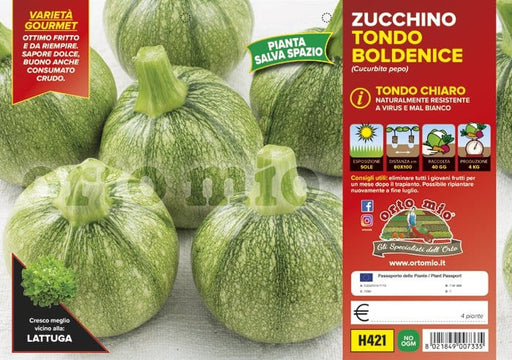Zucchino tondo chiaro Boldenice F1-Rondo F1 - 4 piante - Orto Mio Orto Mio (2500132)